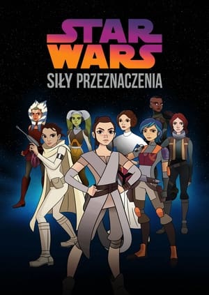 Star Wars: A sors erői poszter