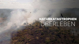 Survivre aux catastrophes, les stratégies de la nature háttérkép