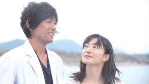 パーマネント野ばら háttérkép