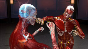 Fight Science háttérkép