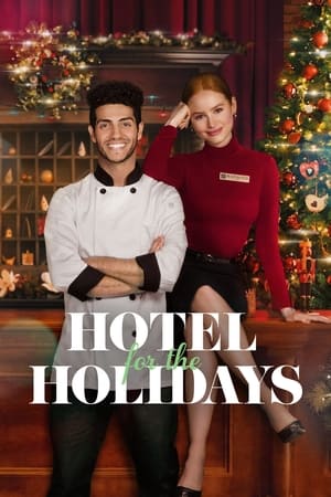 Hotel for the Holidays poszter