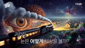 취미는 과학 1. évad Ep.96 96. epizód