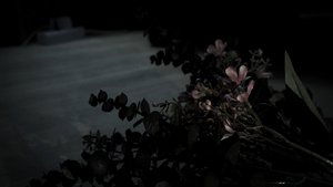 La Flor háttérkép