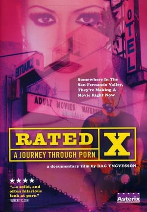 Rated X: A Journey Through Porn