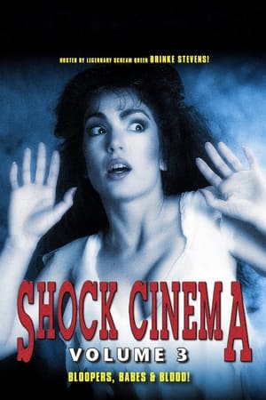 Shock Cinema: Volume Three poszter