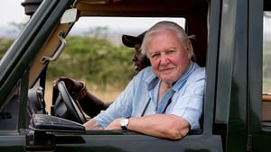 David Attenborough: Egy élet a bolygónkon háttérkép