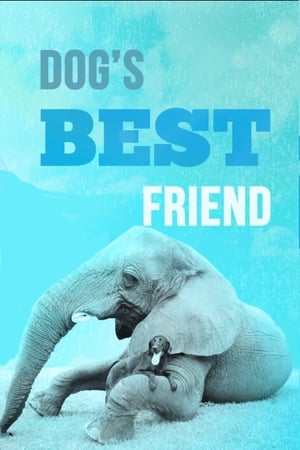 Dog's Best Friend poszter