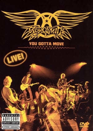 Aerosmith - You Gotta Move poszter