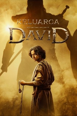 Dávid háza poszter