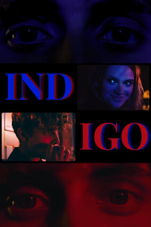 Indigo poszter