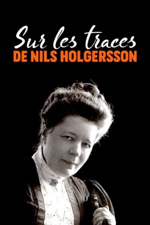 Sur les traces de Nils Holgersson poszter