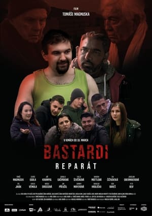 Bastardi: Reparát poszter