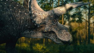 Nanotyrannus - a T. rex riválisa? háttérkép