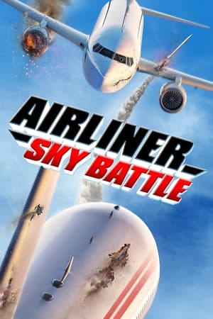 Airliner Sky Battle poszter