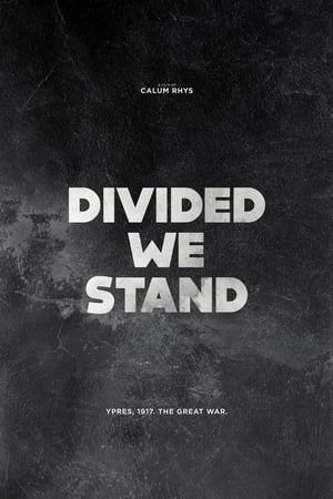 Divided We Stand poszter