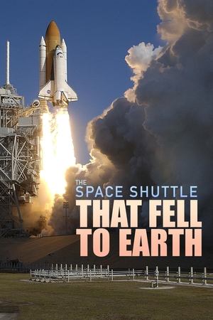 The Space Shuttle That Fell to Earth poszter