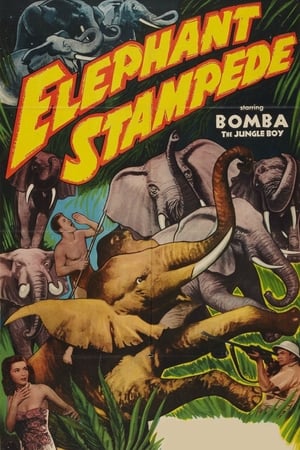 Elephant Stampede poszter