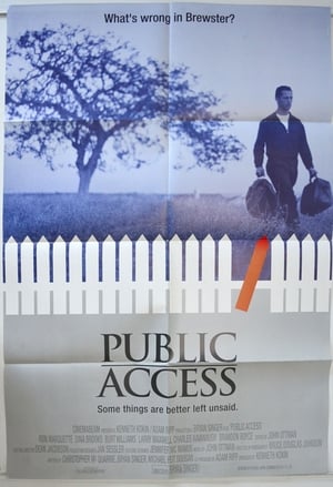 Public Access poszter