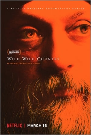 Wild Wild Country poszter