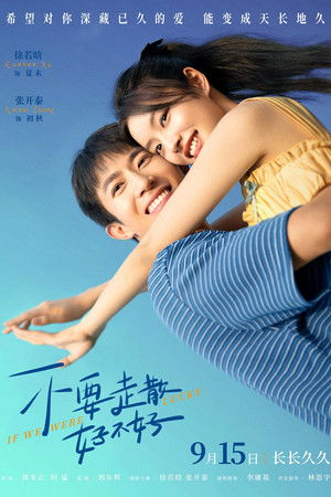 不要走散好不好 poszter