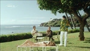 Hawaii Five-O Season 1 Ep.24 24. epizód