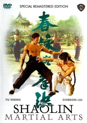 Shaolin Martial Arts poszter