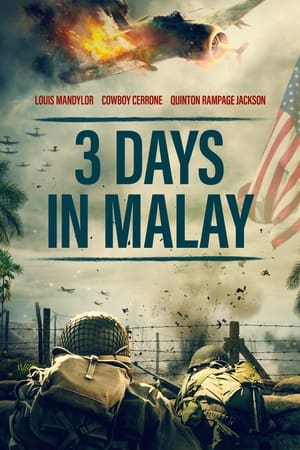 3 Days in Malay poszter