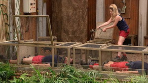 I'm a Celebrity...Get Me Out of Here! Season 18 Ep.17 17. epizód