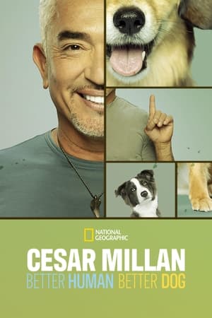 Cesar Millan: Jó gazdi, jó kutya