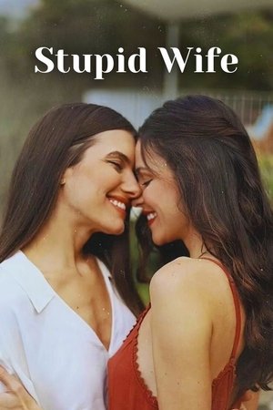 Stupid Wife poszter
