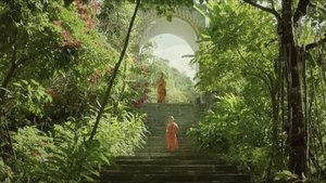 万物有灵 háttérkép