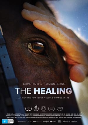 The Healing poszter