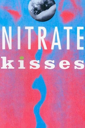 Nitrate Kisses poszter