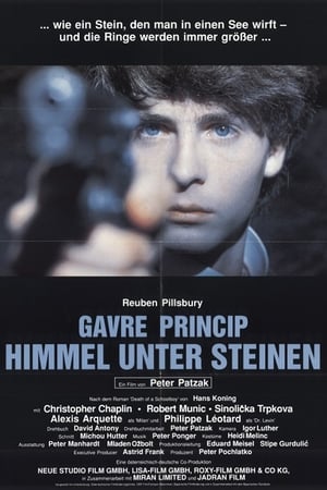 Gavre Princip - Himmel unter Steinen