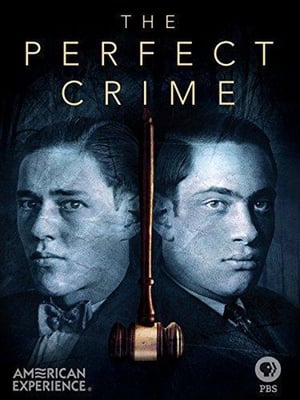 The Perfect Crime: Leopold & Loeb poszter