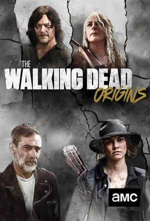 The Walking Dead: Origins poszter