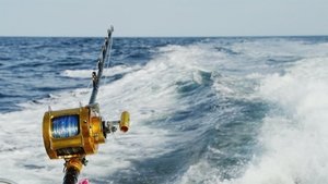 Wicked Tuna: Outer Banks 2. évad Ep.10 10. epizód