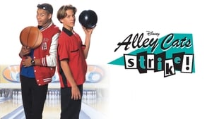 Alley Cats Strike háttérkép