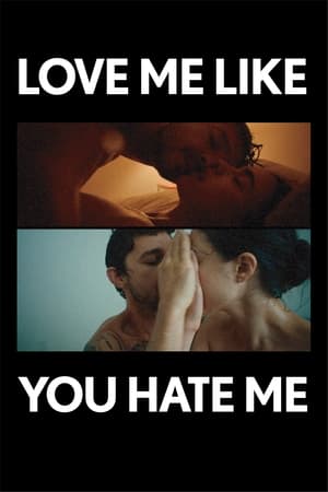 Love Me Like You Hate Me poszter