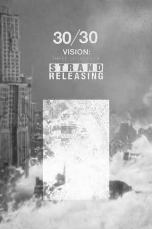 30/30 Vision: Three Decades of Strand Releasing poszter