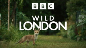 Vad London háttérkép