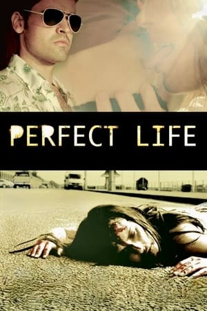 Perfect Life poszter