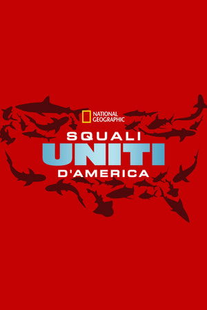 United Sharks of America poszter