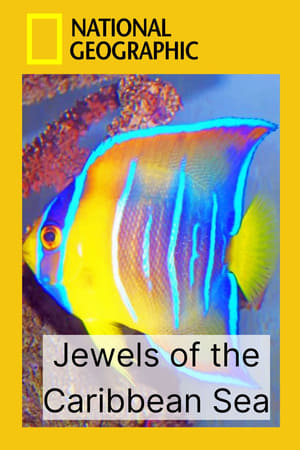 Jewels of the Caribbean Sea poszter