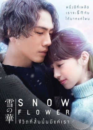 雪の華 poszter