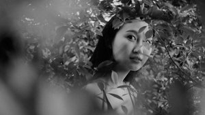 旅馆 háttérkép