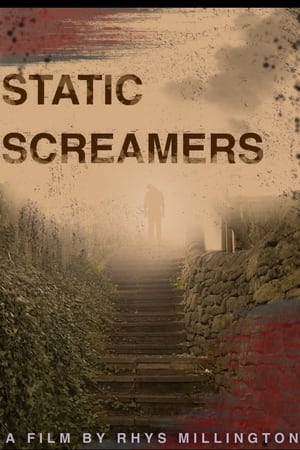 STATIC SCREAMERS poszter