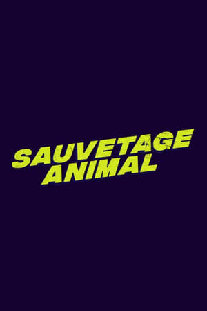 Sauvetage animal poszter