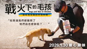 犬と戦争: ウクライナで私が見たこと háttérkép