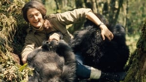 Dian Fossey: Secrets in the Mist kép